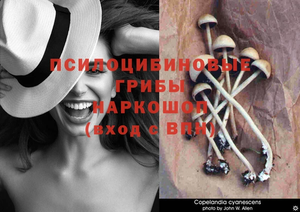 мескалин Мегион
