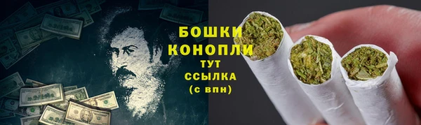 индика Михайлов