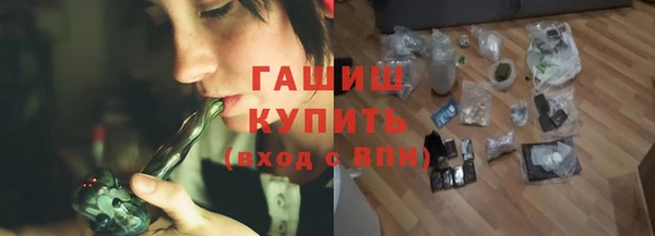 индика Михайлов