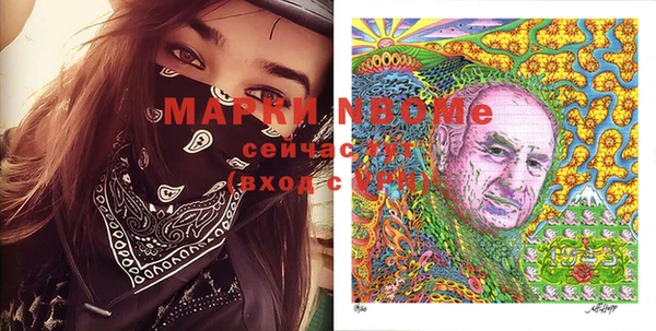 индика Михайлов