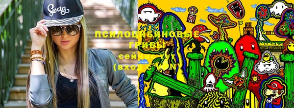 мескалин Мегион