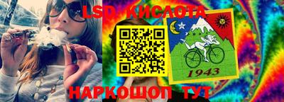 хмурый Кингисепп