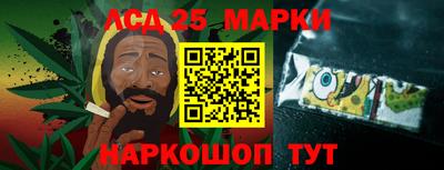 хмурый Кингисепп