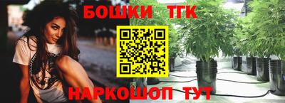 хмурый Кингисепп
