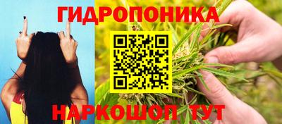 хмурый Кингисепп