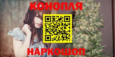 хмурый Кингисепп