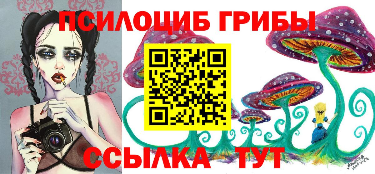 Псилоцибиновые грибы MAGIC MUSHROOMS  Удомля  Псилоцибиновые грибы мицелий 