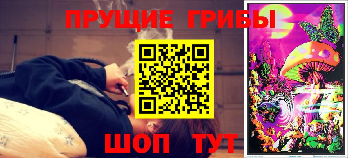 Псилоцибиновые грибы Psilocybe Удомля