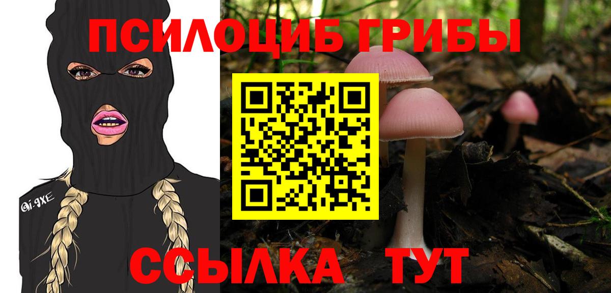 Галлюциногенные грибы MAGIC MUSHROOMS  Вход с VPN  Удомля  Псилоцибиновые грибы GOLDEN TEACHER 